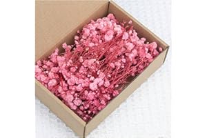 50 Pcs Christmas Mini Dried Baby Breath Flowers, Bulk Natural White Gypsophila for DIY Floral Arrangements Wedding Decor and 
