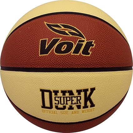 professional basketball