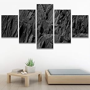 SIGNWIN 5 Panel Canvas Wall Art Modern Art...