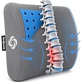 Samsonite Memory Foam Lumbar Support Pillow for Office Chair, Gaming Chair, or Car-Ergonomic Back Cushion-Home Essentials for Sitting Comfort and Posture Relief Back Support with Cooling Gel, Grey
