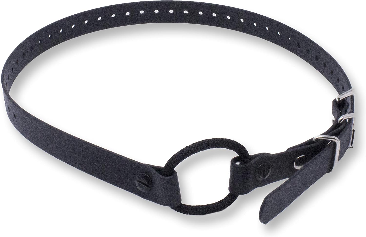 bungee collar for e collar