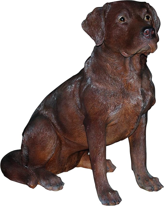 Vivid Arts XRLBROLA Labrador Dog Resin Ornament Chocolate Amazon