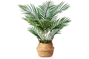 LOMANTO Fake Majesty Palm Plant 2Ft Artificial Plants for Home Decor Indoor Small Faux Trees in Pot Fake Tropical Plants for Housewarming Gift 1Pack