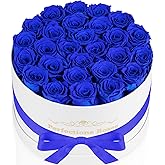 Perfectione Roses 27 Roses in a Box, Mothers Day Rose, Preserved Flowers for Her, Flowers for Delivery Birthday Gifts for Women (Royal Blue)