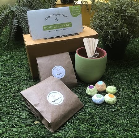 Gramastha Home Garden Kit | Tested & Packed for Terrace and Kitchen Gardening | Grow Your Own Food | Includes 1 Peach Terracotta Planter, Potting Soil, Compost, seedballs and Tags | A Gift That Grows