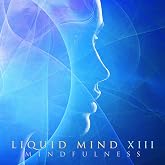 Liquid Mind XIII: Mindfulness