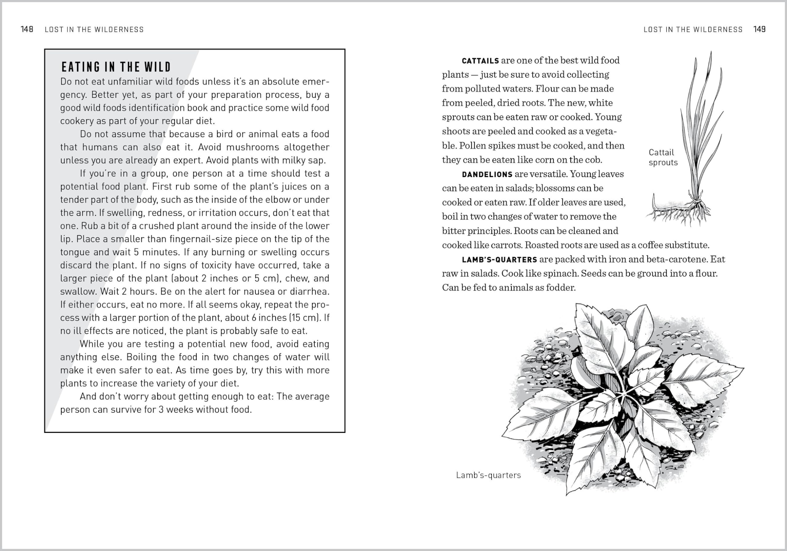 The Natural First Aid Handbook: Household Remedies, Herbal Treatments, and Basic Emergency Preparedness Everyone Should Know