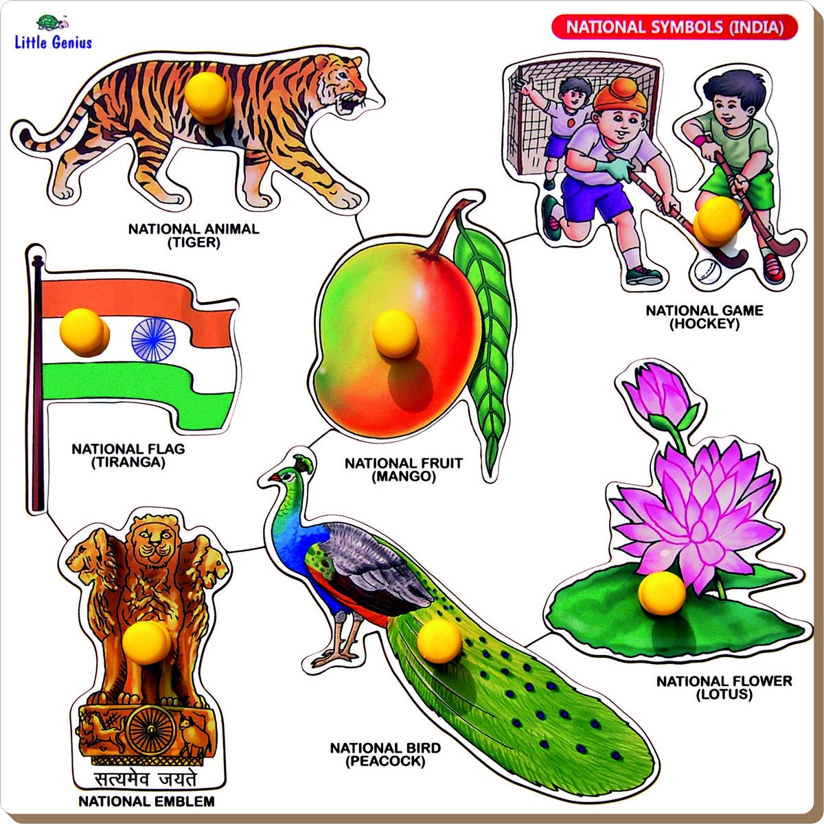 Buy Little Genius National Symbols India with Big Knob (Large) Online