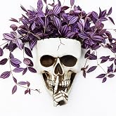 Rebecca online Skull Wall Planter Skull Planter for Halloween Indoor Outdoor Plants, Gothic Spooky Face Head Hanging Flower Pot with Drainage for Fence Decoration (Don't Speak White)