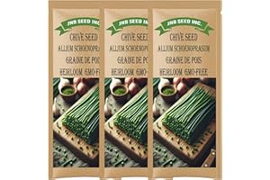 Common Chive Seeds (Approx. 700 Seeds-3 Grams/3 Packs) A Versatile and Tasty Addition to Your Herb Collection