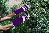 SAWANS Long Gardening Gloves Leather Purple M Goatskin Thorn Proof Forearm view 4