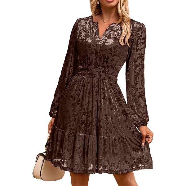 Amazon.com: Allegra K Women's Keyhole Neck Dresses High Waist Long Sleeve  Christmas Velvet Swing Mini Dress X-Small Burgundy : Clothing, Shoes &  Jewelry