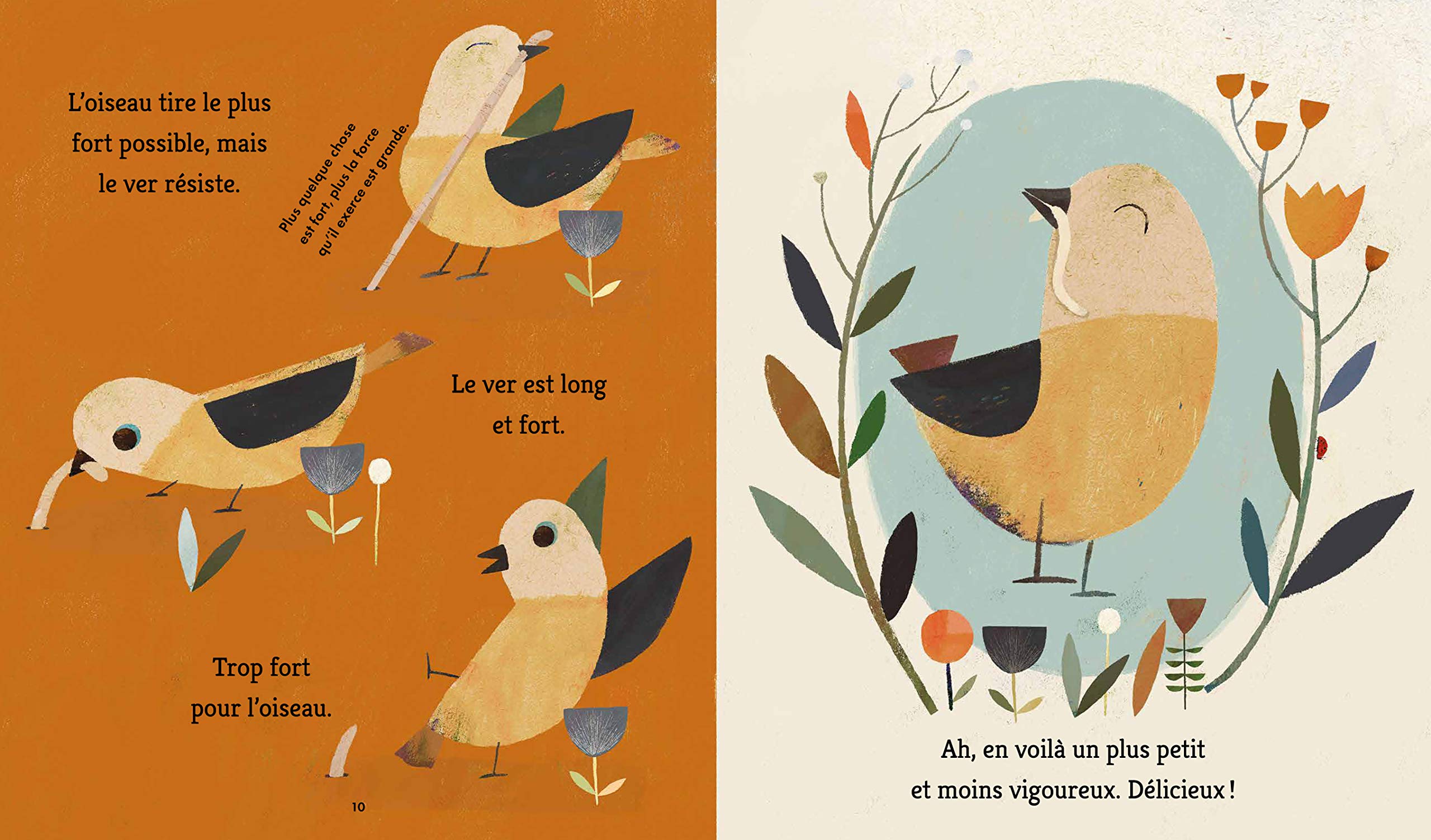 Amazonfr Loiseau Fait Son Nid Richard Jones Martin