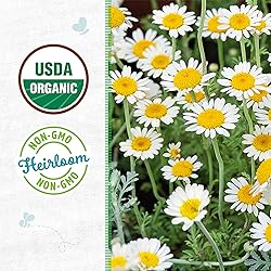 Back to the Roots 100% Organic Seed Packet