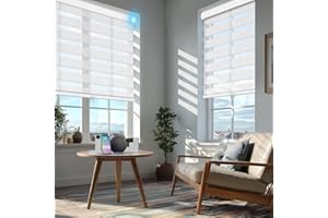 BERISSA Motorized Zebra Blinds with Remote,Dual-Control(Manual + Remote) Zebra Blinds for Indoor Windows,Linen Rechargeable S