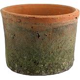 HomArt Rustic Terra Cotta Cylinder, Small, Natural, 1-Count
