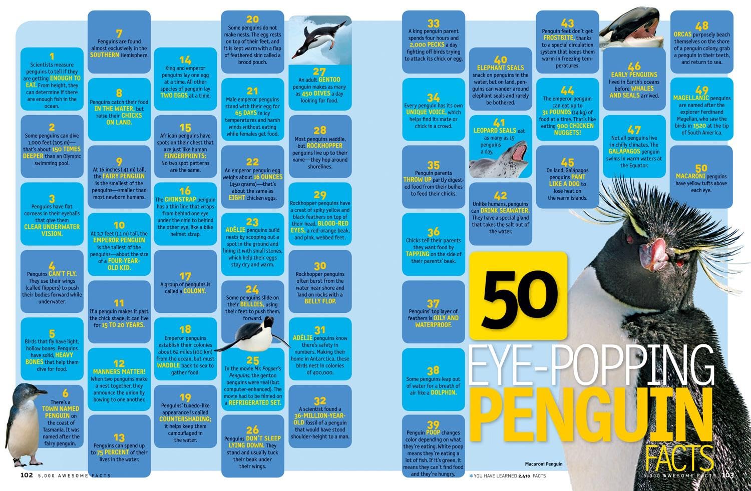 5,000 Awesome Facts (About Everything!) (National Geographic Kids) 5,000 Awesome Facts (About Everything!) (National Geographic Kids) Hardcover Library Binding Spiral-bound