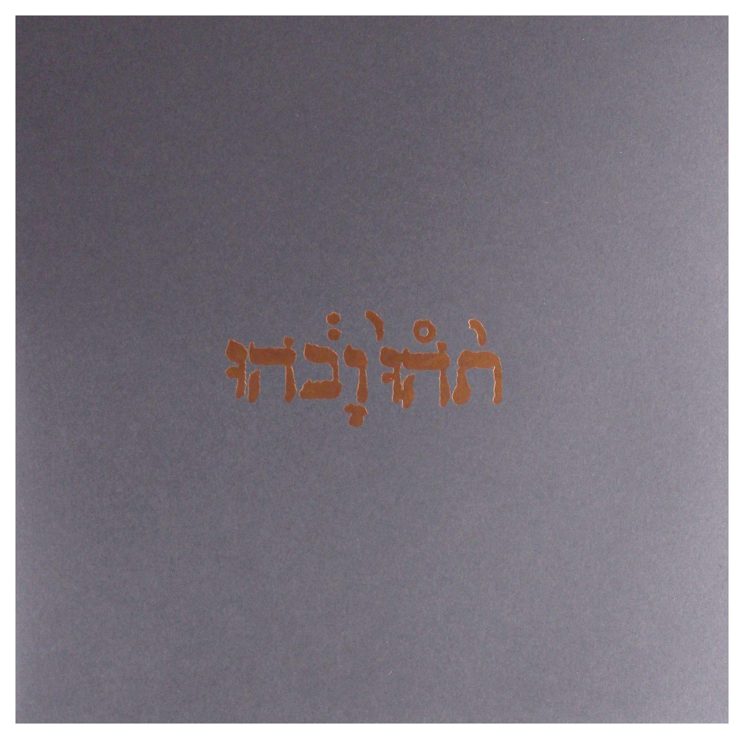 Slow Riot For New Zero Kanada [VINYL]