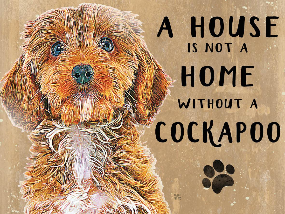 Small (150 x 200mm) Metal Sign - A House is Not a Home - Cockapoo