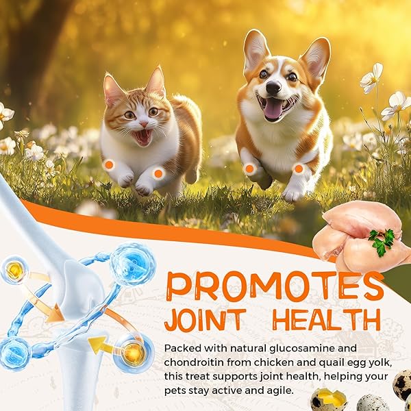 DANCING TAIL GLUCOSAMINE MULTIVITAMIN HIP & JOINT CARE SUPPLEMENT FOR DOGS, FREEZE DRIED CHICKEN & QUAIL EGG YOLK FLOSS TREATS VITAMIN C VITAMIN E 6 OUNCE DOG HEALTH SUPPLIES