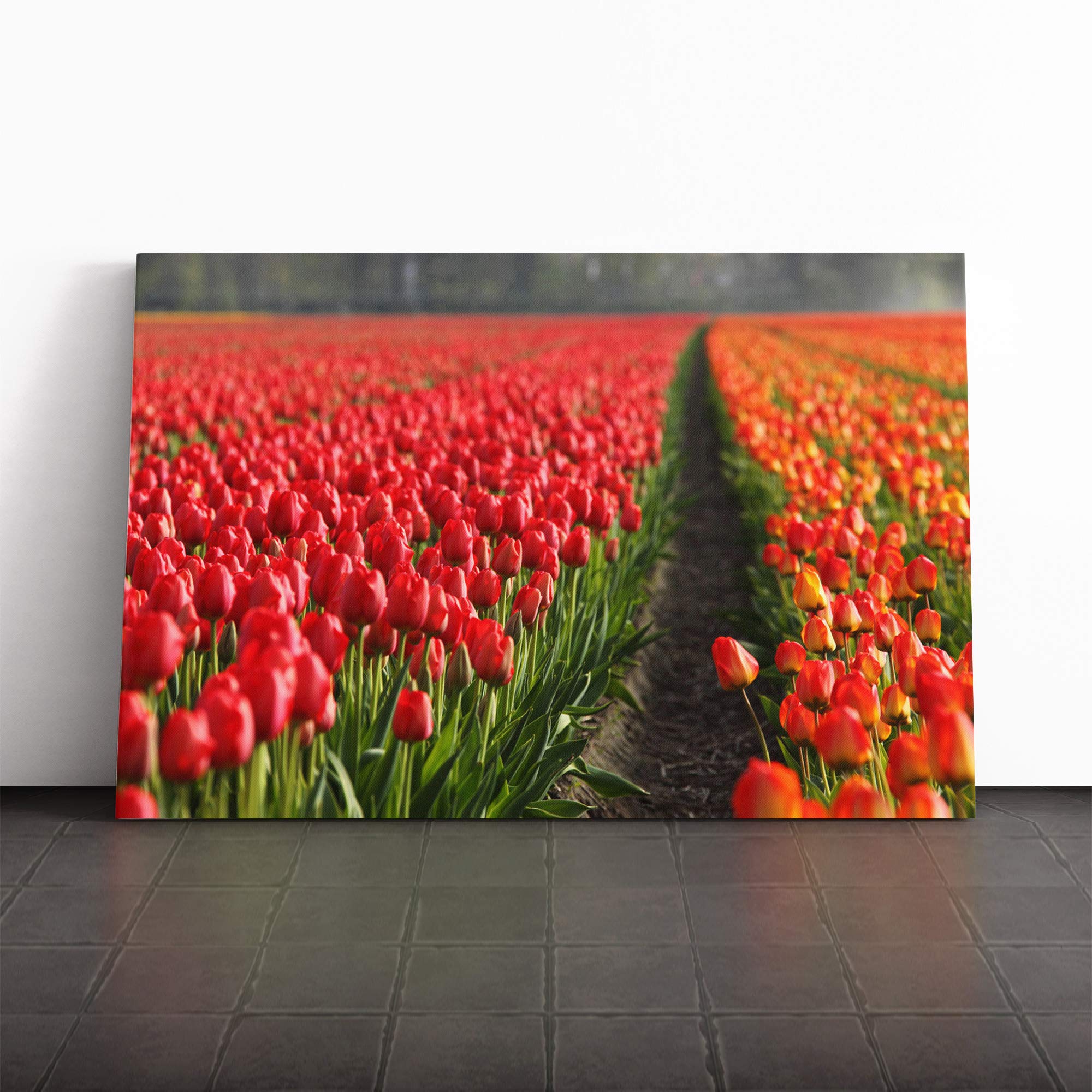 Red Tulip Field Flowers Landscape Canvas Print | Gallery Wrapped 30mm Frame Wall Art | 20x14 inches | Ready to Hang | Modern Floral Picture | Living Room Bedroom Lounge Office