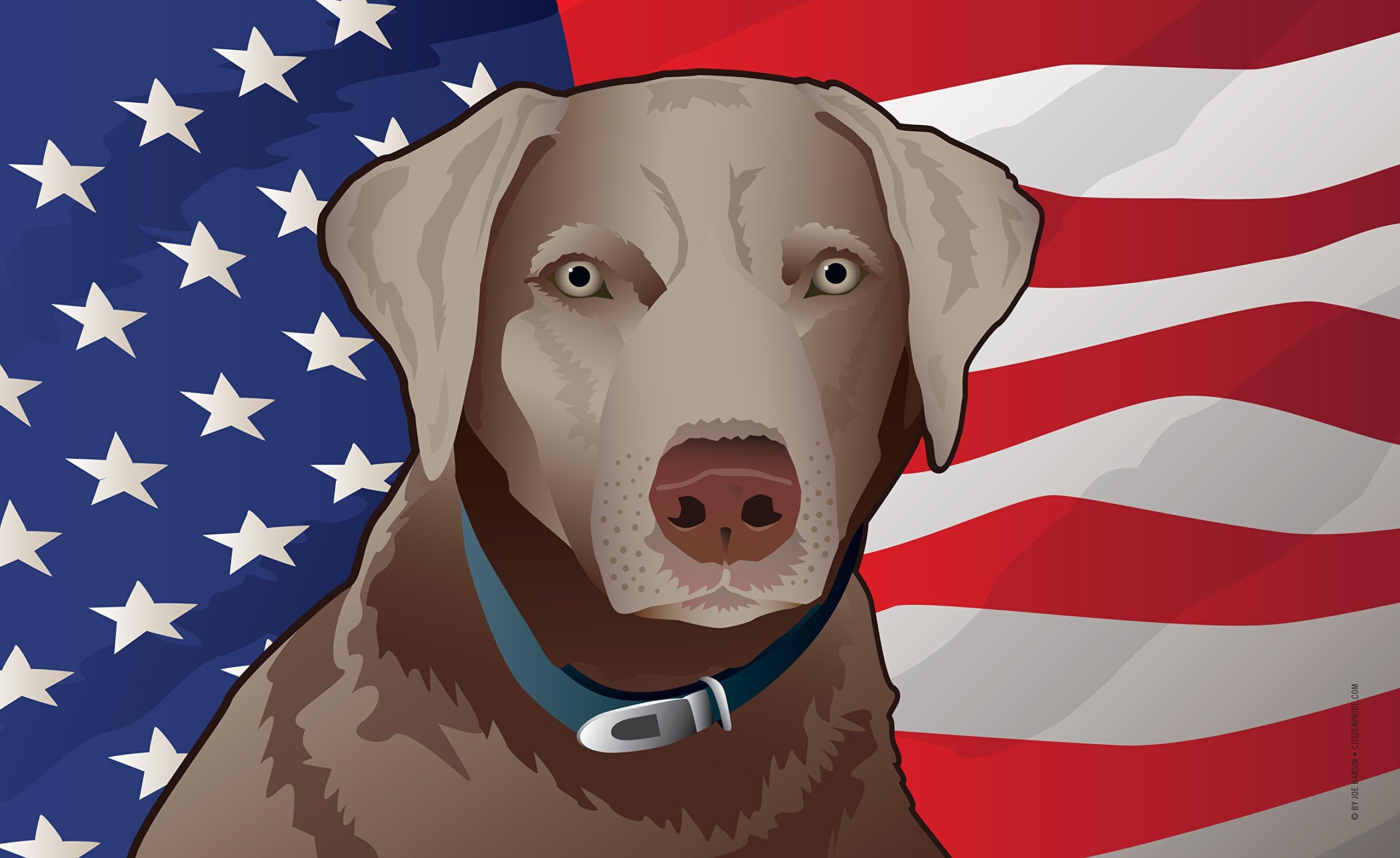 USA Silver Lab Door Mat by Joe Barsin, 30x18