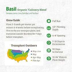Seed Packet - Basil 'Culinary Blend' 300mg