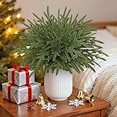 DEMIUKO 40PCS Norfolk Pine Stems Branches 14" Christmas Artificial Pine Needles Sprigs Faux Evergreen Greenery Fake Pine Picks for Vase DIY Crafts Xmas Garland Wreath Home Indoor Outdoor Decor