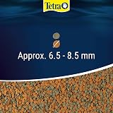 Tetra Fish Food Variety Wafers 68 g Complete Food for Bottom-Feeding Fish and view 6