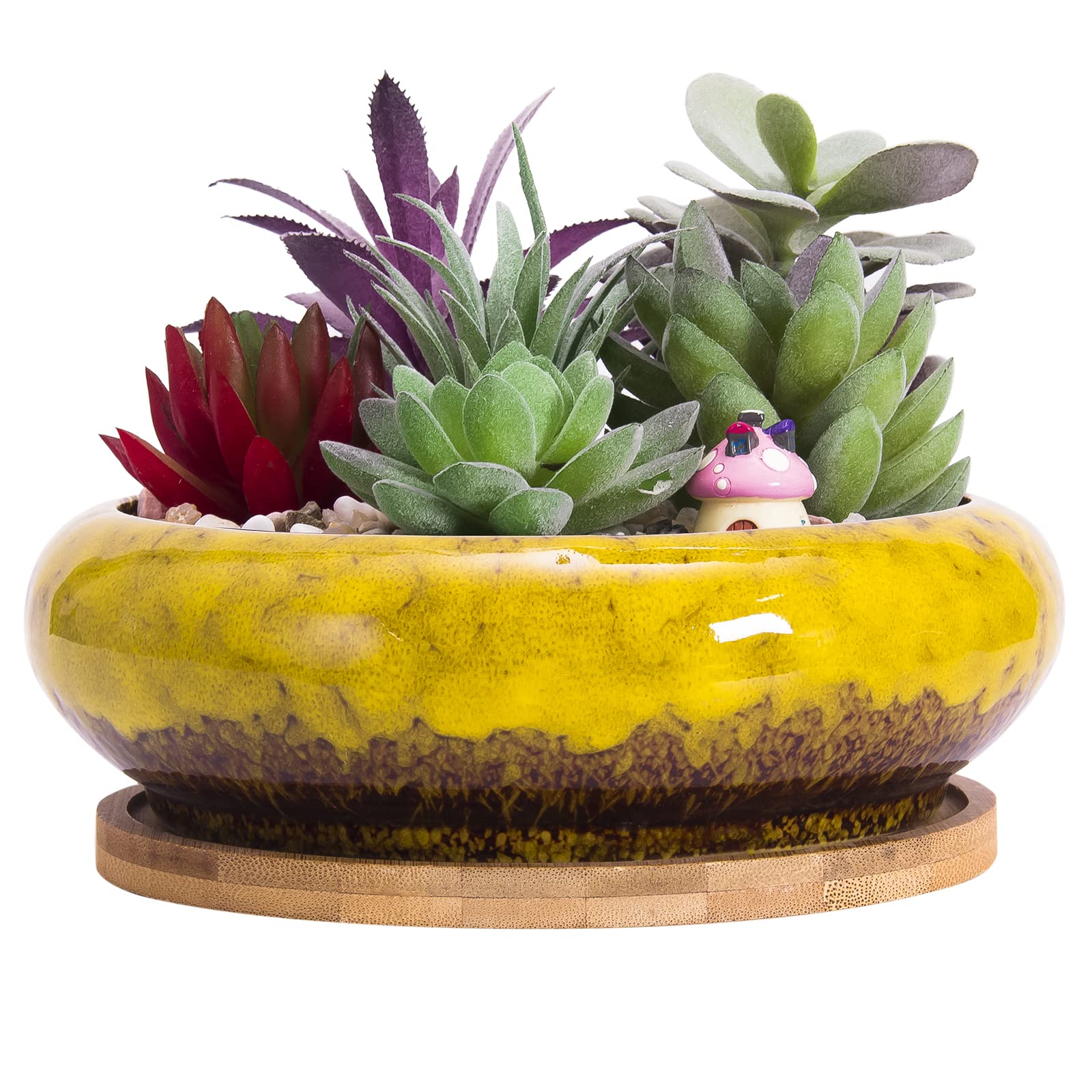Succulent Plant Pot, 18.5CM Large Bonsai Pot with Tray Ceramic Succulent Pot with Drainage Hole Shallow Cactus Flower Pots for Indoor/Outdoor Plants Glazed Planter Bowl, Yellow