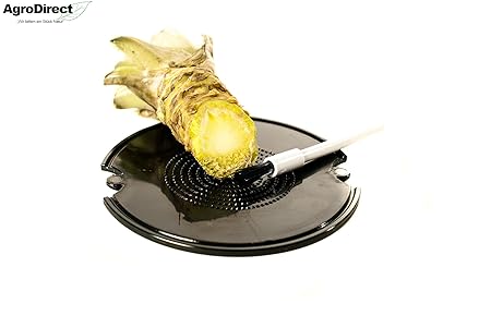 AgroDirect Wasabi- Reibe inkl. Pinsel (Auch für Ingwer und Knoblauch geeignet) / Vergleichbare Pürierung als mit einer Wasabireibe aus Haifisch-, bzw. Rochenhaut !