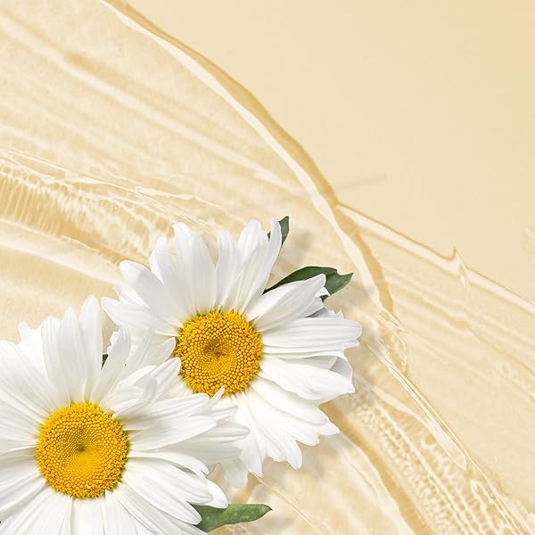 HERBAL ESSENCES SHINE COLLECTION SHAMPOO
