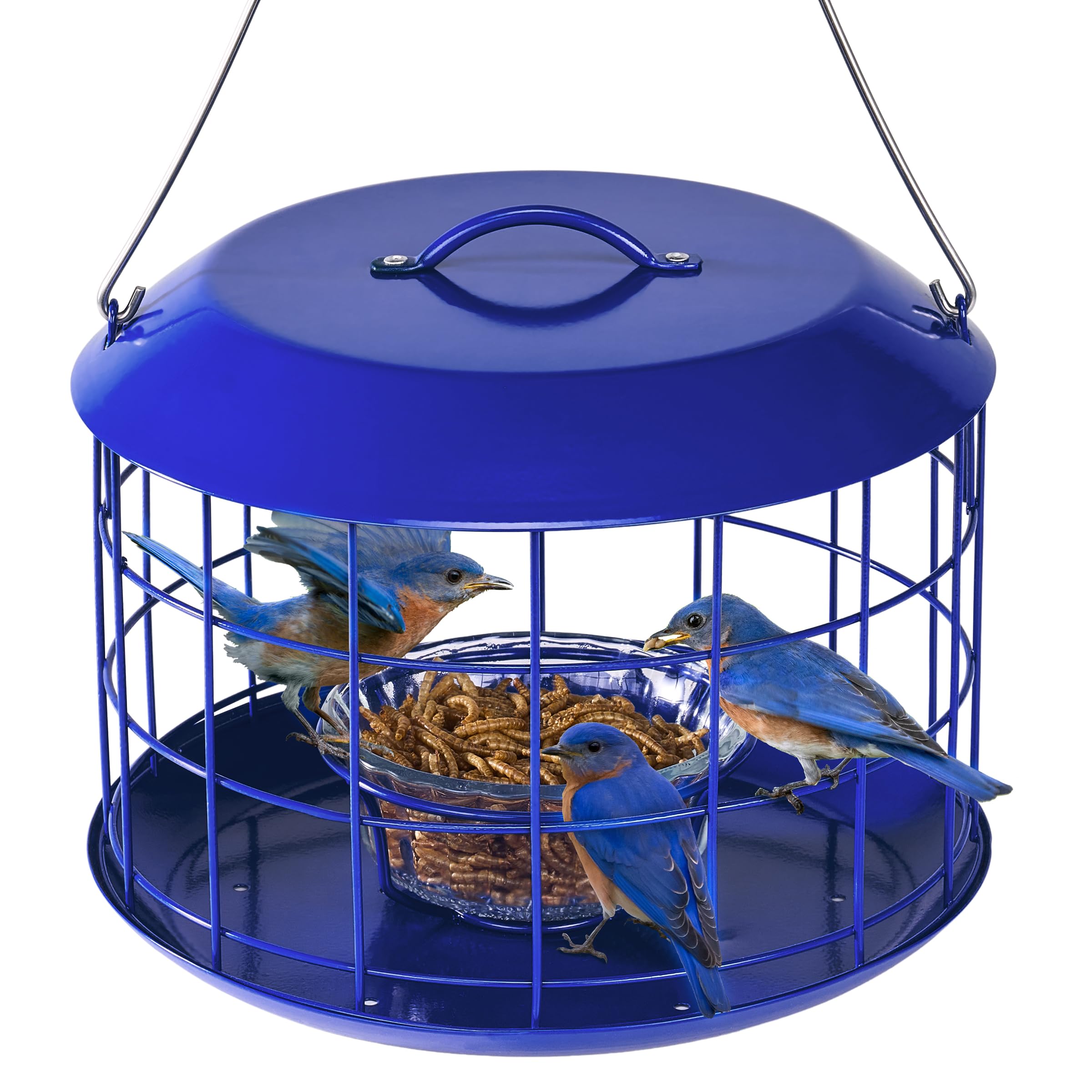 Photo 1 of Kingsyard Bluebird Feeders for Outdoors Hanging, All Metal, Cage Mealworm Bird Feeder with Tray, Squirrel Proof & Weatherproof, Easy to Refill & Clean (Blue)