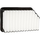 Ecogard XA6200 Air Filter