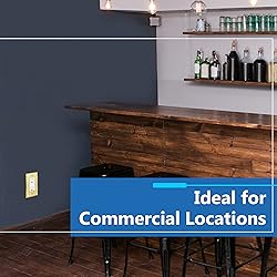 LIDER Dual Decorator Switch or Receptacle Metal