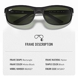 Ray-Ban RB2027 PREDATOR 2 Rectangle Sunglasses With