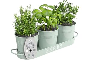 Barnyard Designs Indoor Herb Garden Planter Set with Tray, Metal Windowsill Plant Pots with Drainage for Outdoor or Indoor Plants, Set/3 (Soft Mint)