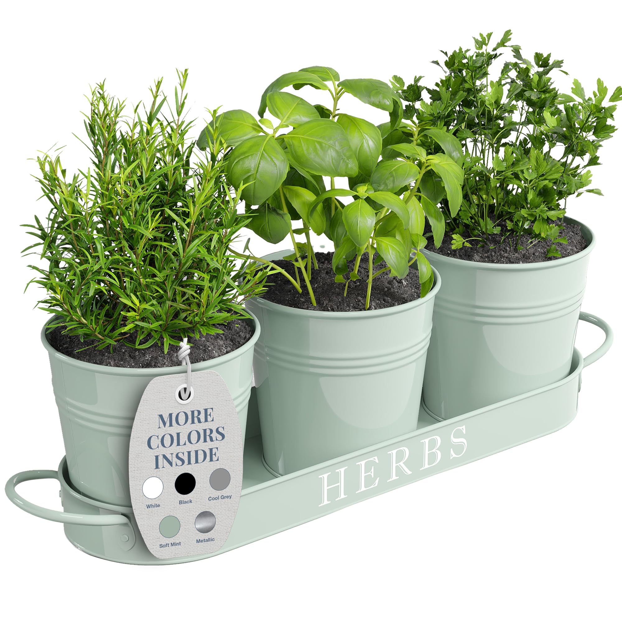 Barnyard Designs Herb Pot Planter Set with Tray for Indoor Garden or Outdoor Use, Soft Mint Metal Succulent Potted Planters, (Set of 3, 11 x 10cm Planters on 32 x 10cm Tray)