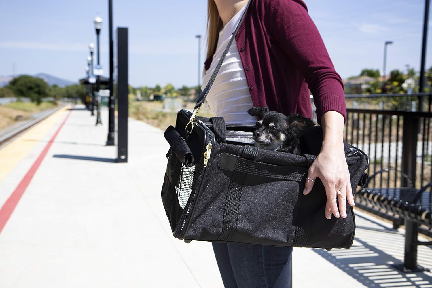 Carriers Sherpa Travel Original Deluxe Airline Approved Pet Carrier Pet