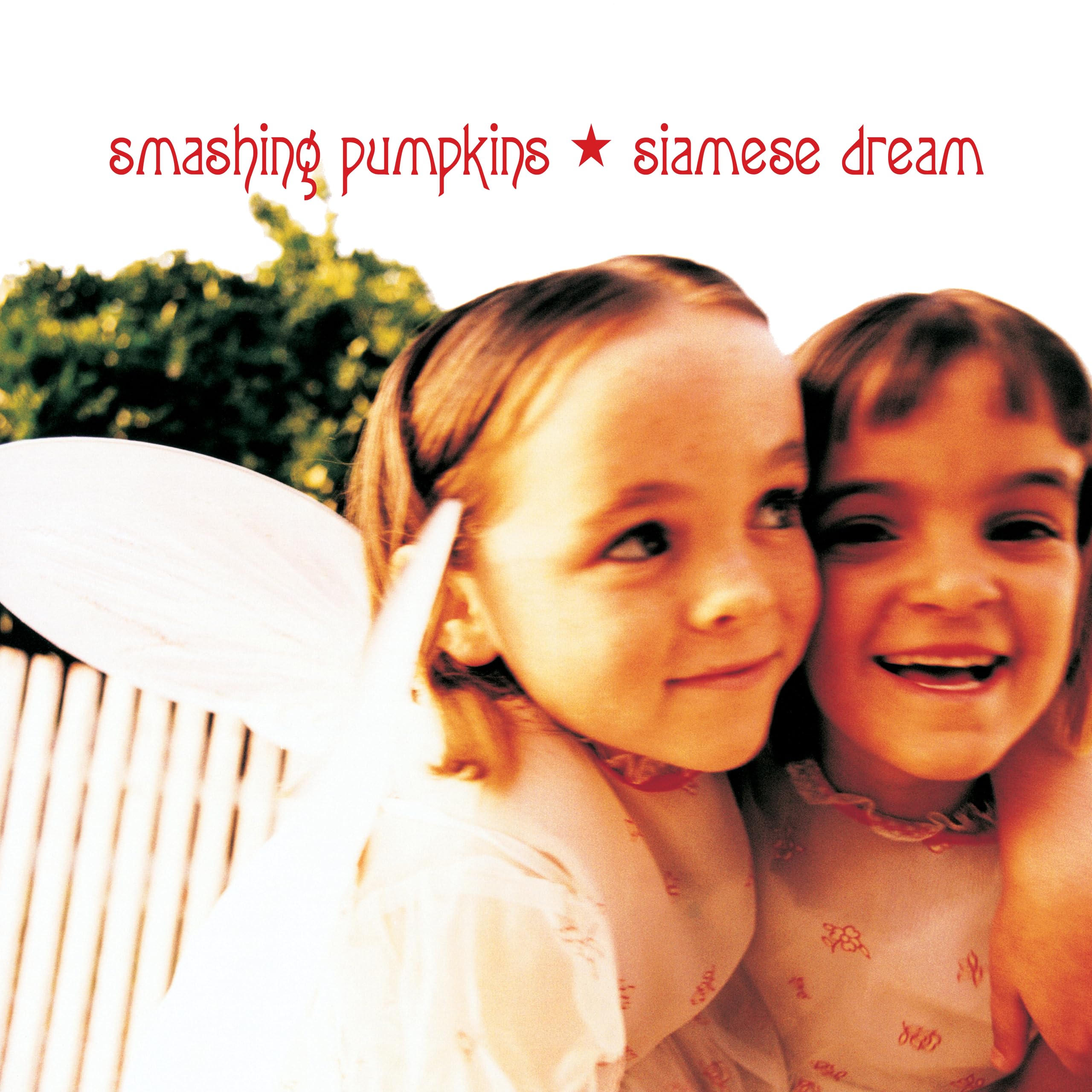 Siamese Dream (2LP) [Vinyl LP] 2
