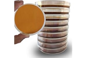 ES EVVIVA SCIENCES Yeast Peptone Dextrose (YPD) Agar Plates - Evviva Sciences - Great for Yeast Cultivation - 10 Prepoured YPD Petri Dishes - Great for Science Projects