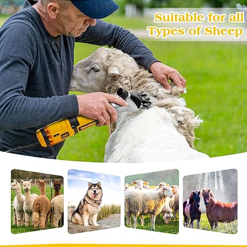 AMYWMS Sheep Shears 600W, Electric Sheep Clippers Professional,