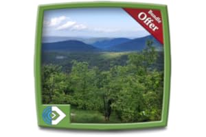 Green Rainfall HD - Sit and Enjoy Rainy Forest on your Fire TV & Kindle Devices