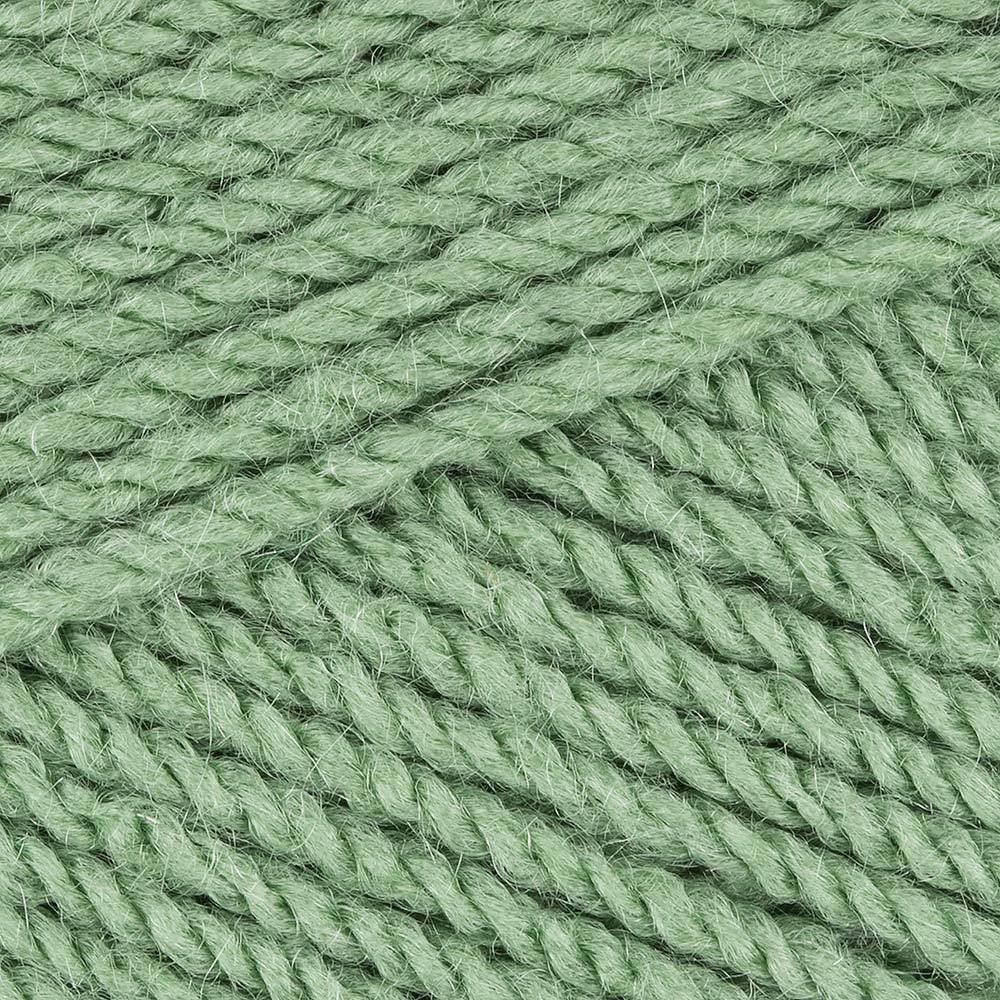 5 x 100g Stylecraft Special DK Double Knit Wool/Yarn Pack of Five (5 x 100g Cypress 1824)