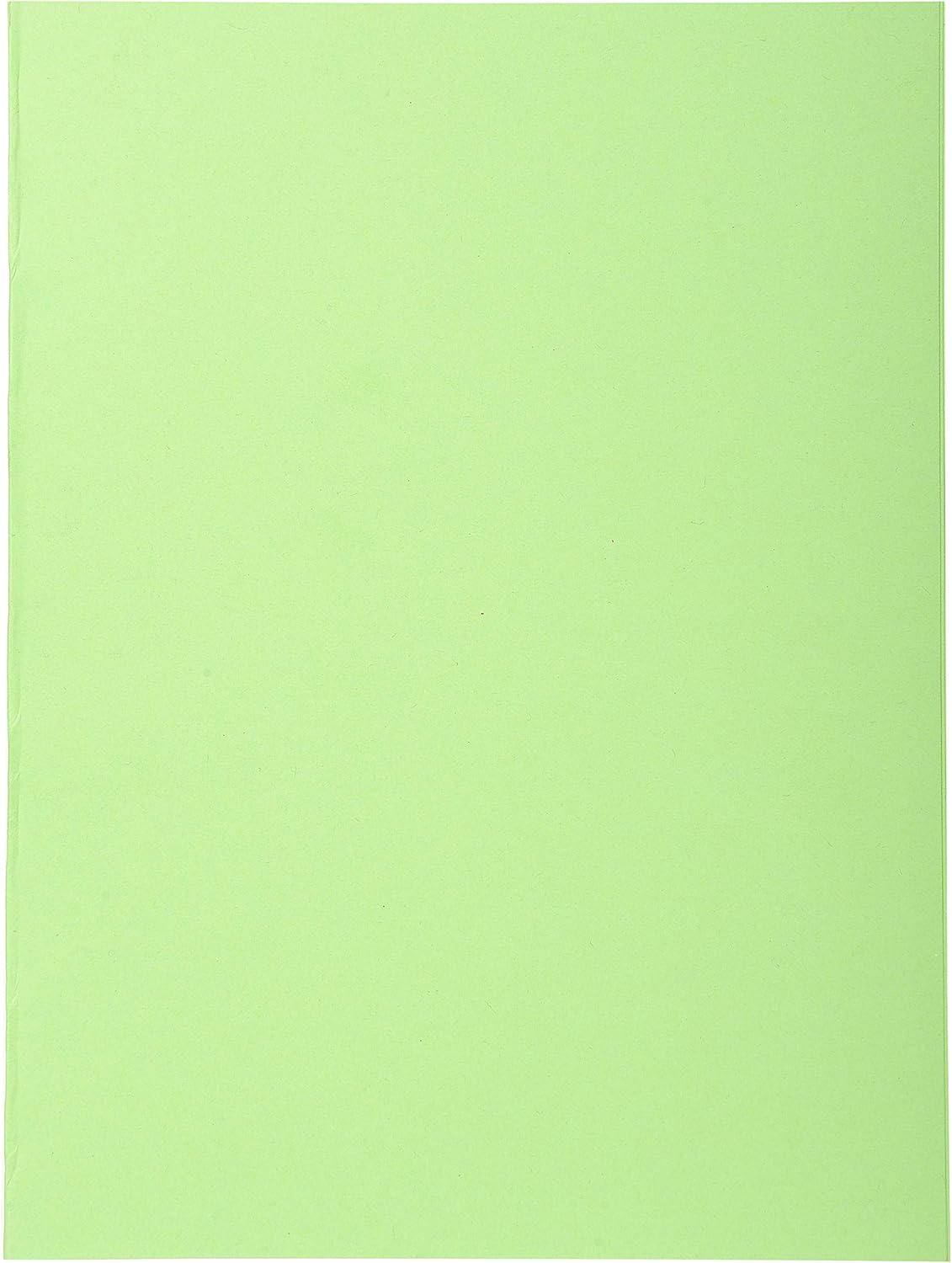 Exacompta, Ref 410004E, Forever Collection, Recycled Square Cut Folder, A4 (210 x 297mm), 220gsm Recycled Board - Image 3
