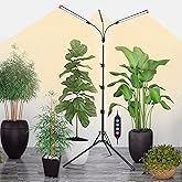 Orchbloom 3-Head Grow Light with Stand and Timer, 27 Watt Power Home Plug LED Grow Lights for Indoor Plants for Tall Houseplants, Bonsai Tree, Seed Starting, 24"-64" Adjustable Height