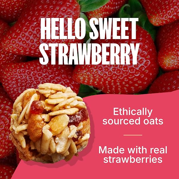 MADEGOOD ORGANIC STRAWBERRY GRANOLA BITES, 5CT X 0.85OZ