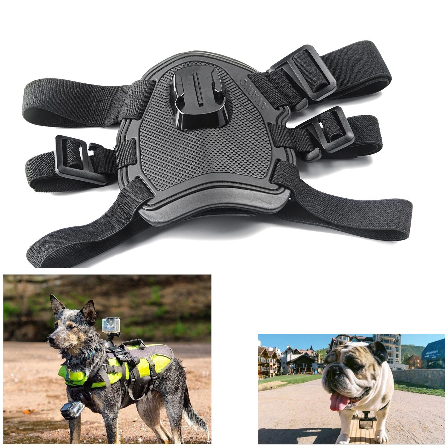 Avawo Dog Harness And Chest Mount With For Gopro Hero Desertcart
