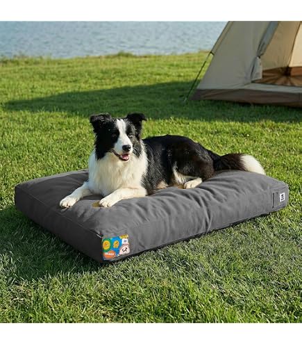 Amazon.com : Carhartt Durable Canvas Pet Bed, Water Resistant Firm
