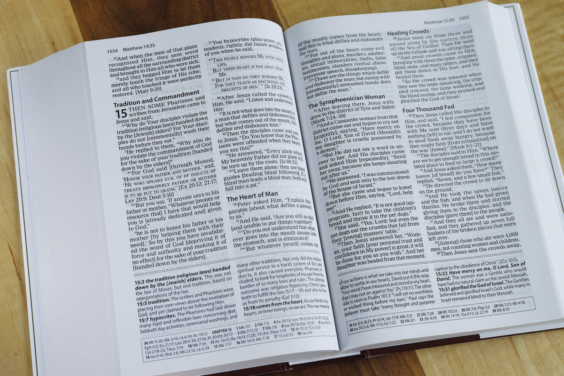 The Amplified Study Bible, Hardcover